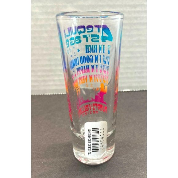 Puerto Vallarta Mexico Shot Glass 4 Stages of Tequila Drinking Tequilero - Picture 2 of 8